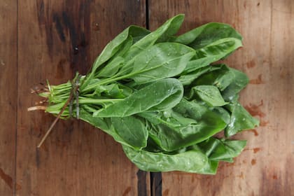 La espinaca contiene carotenoides, una sustancia capaz de reducir la sensibilidad de nuestra piel al sol y reducir sus efectos dañinos