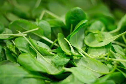 La espinaca, entre otras verduras, es una aliada para el organismo (imagen ilustrativa)