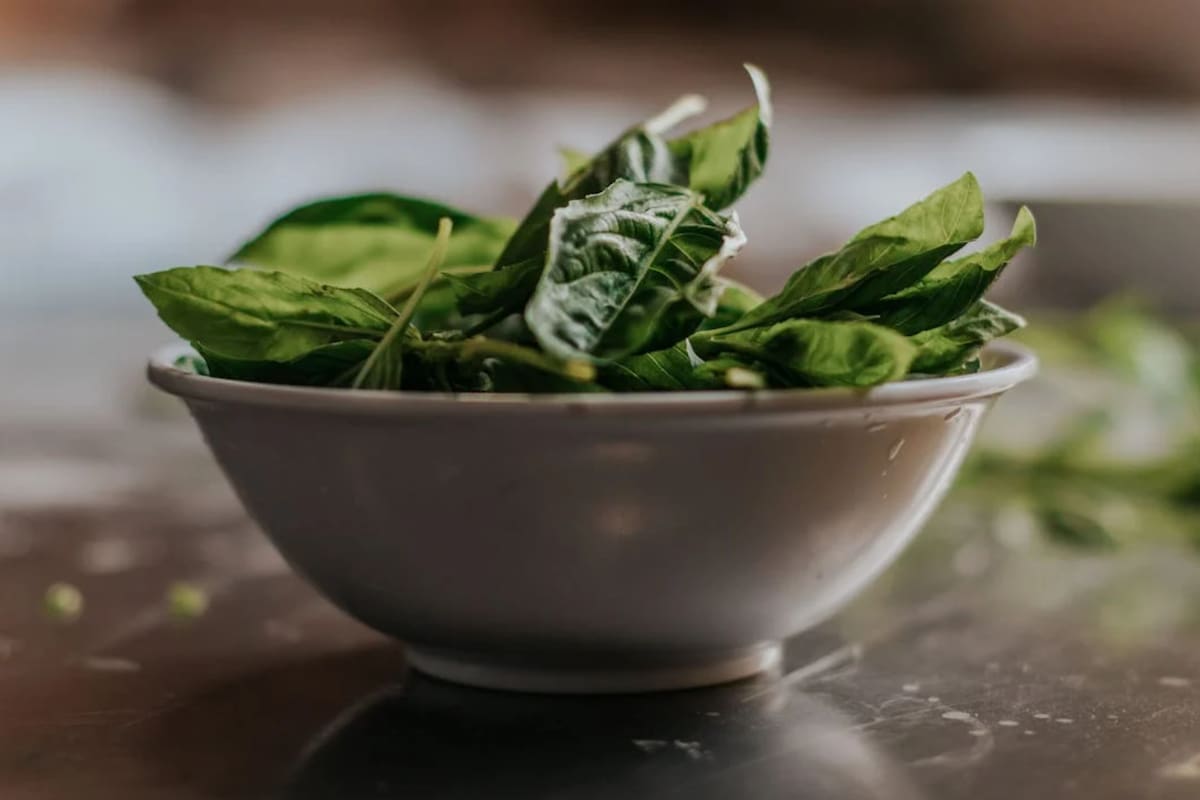 La espinaca es una verdura recomendada para proteger la salud del corazón, los ojos, el hígado y los huesos (Foto Pexels)
