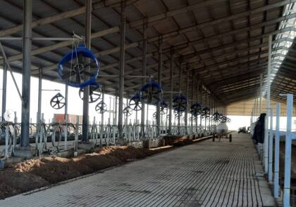 La estabulación libre o freestall son instalaciones de encierre, donde las vacas lecheras pueden moverse para comer, tomar agua y dormir en espacios físicos y temporales predeterminados