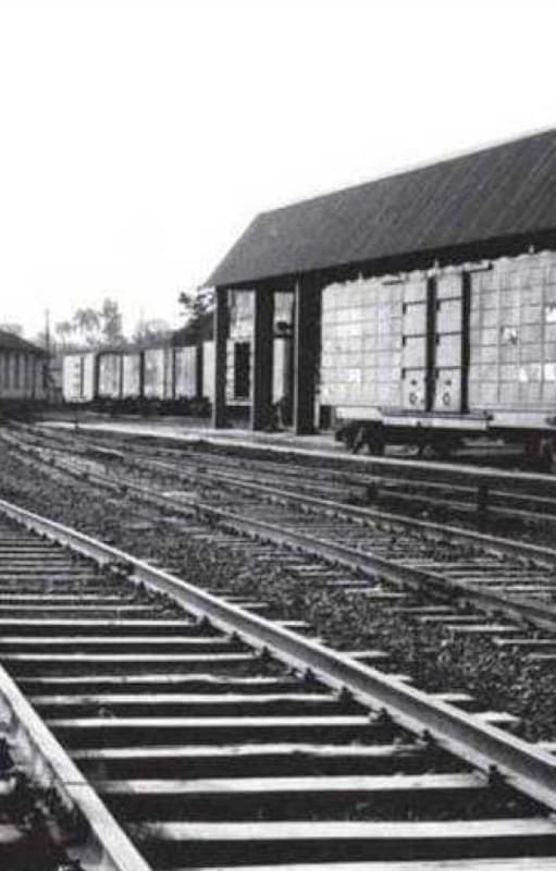 La estación Bias Forte a donde llegaban los trenes atestados de pacientes para el Hospital Colônia (Foto en el libro Holocausto Brasileiro de Daniela Arbex)