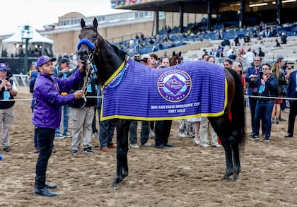 La estampa de Full Serrano, ya con la manta de ganador de la Breeders' Cup Dirt Mile (G1), en Del Mar.