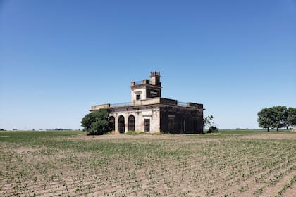 La estancia La Chica de Salto en 2020, rodeada de siembra