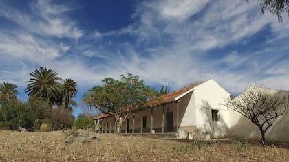 Hay un diversa cantidad de especies de árboles y plantas en todo el territorio