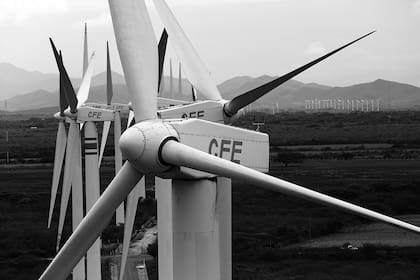 La estatal CFE es por ahora el único proveedor a hogares y pequeñas empresas.