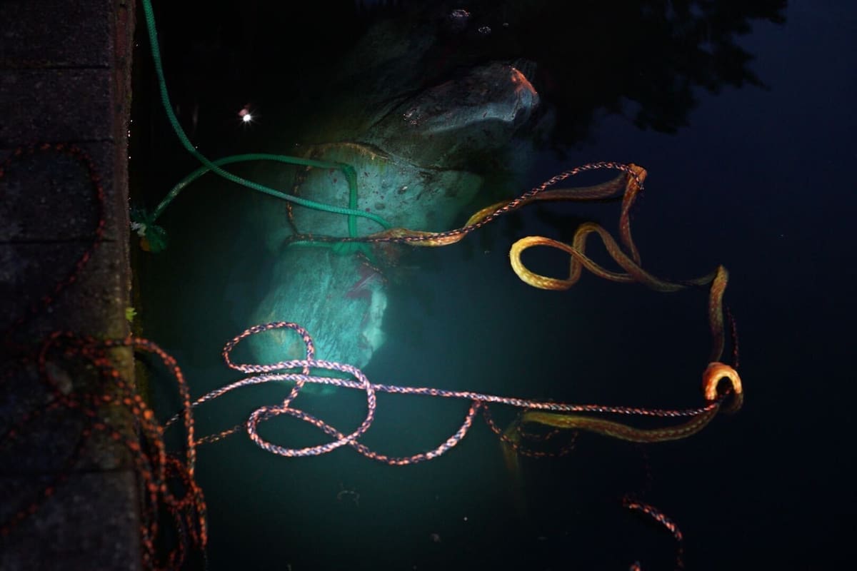 La estatua de Colón en Virginia fue lanzada a un lago