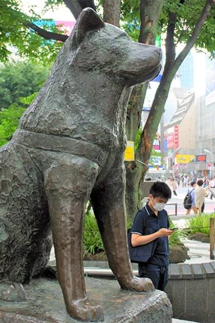 La estatua que recuerda a Hachiko en la estación de Shibuya