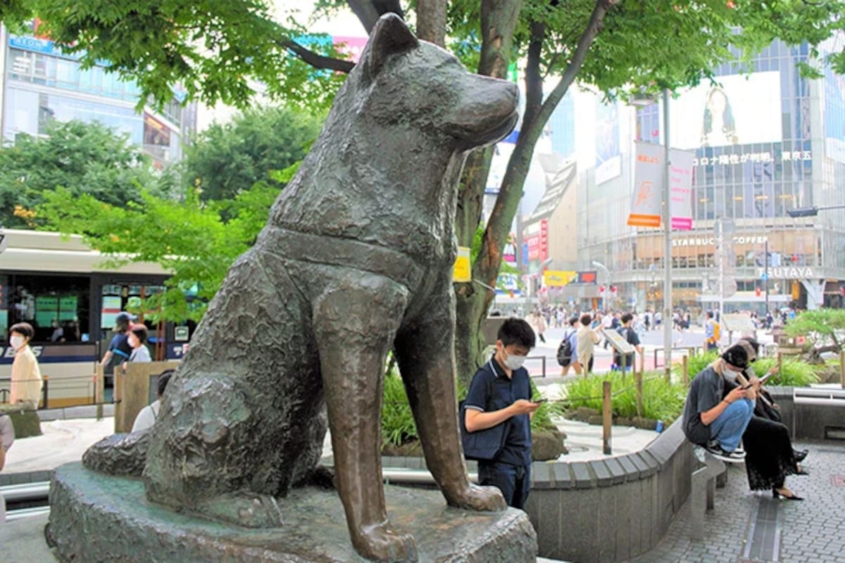 La estatua que recuerda a Hachiko en la estación de Shibuya