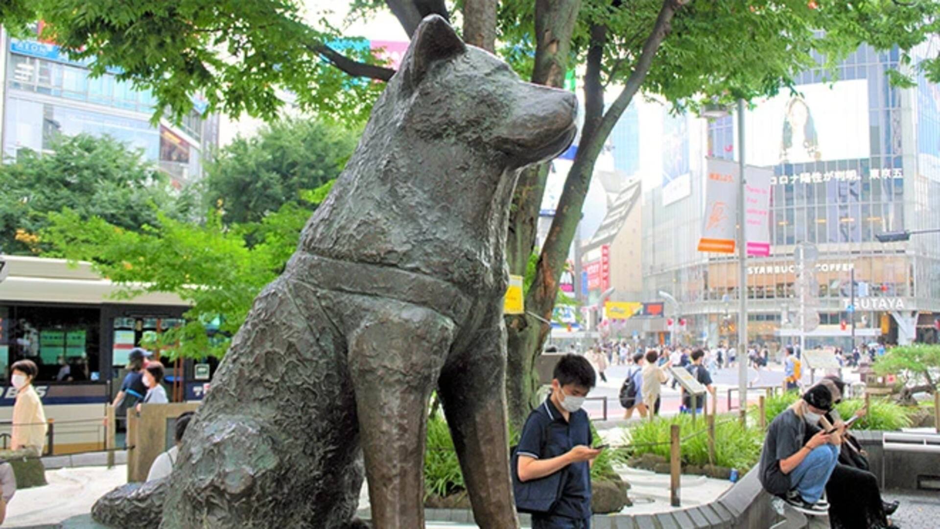 La estatua que recuerda a Hachiko en la estación de Shibuya