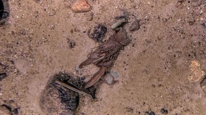 La estatuilla de bronce se encontró en el campo de escombros que rodea el naufragio. (Foto: RMS Titanic Inc)