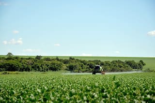 La estimación de la cosecha de soja de Argentina cae por recorte de área: Bolsa de Comercio de Rosario