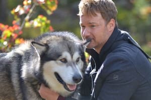 La estrella de la nueva película de Netflix es Chinook, un perro malamute de Alaska