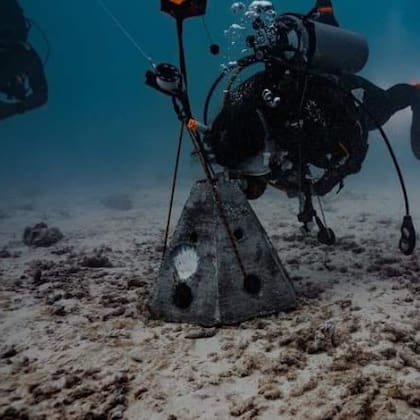 La estructuras submarinas son diseñadas con materiales biodegradables, integrando las cenizas en un proceso que favorece la biodiversidad marina