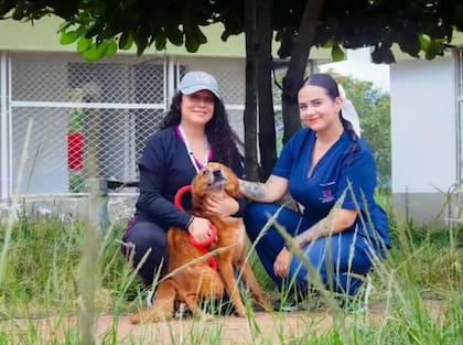 La estudiante de enfermería, Melissa Salazar, conoció la historia de Pirata gracias a las redes sociales de la Alcaldía de Armenia y quiso darle un hogar al canino