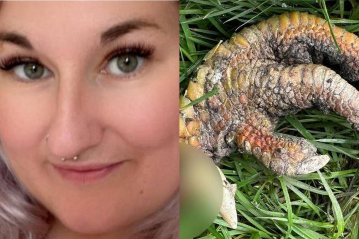 La europea compartió fotos en redes sociales (Foto: Facebook)