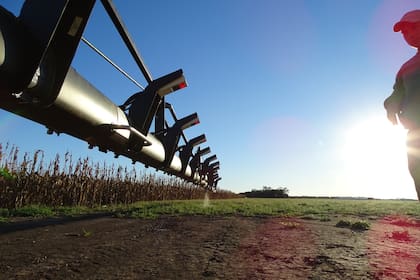 La Evaluación de Desempeño es un procedimiento formal para medir el trabajo y los resultados de cada miembro de un equipo de trabajo en función del rol que ocupan en la organización