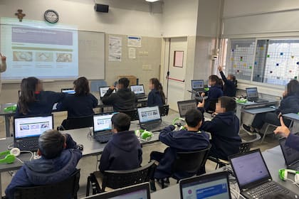 La evaluación incluyó desempeño, seguridad, financiamiento y credenciales de los instructores