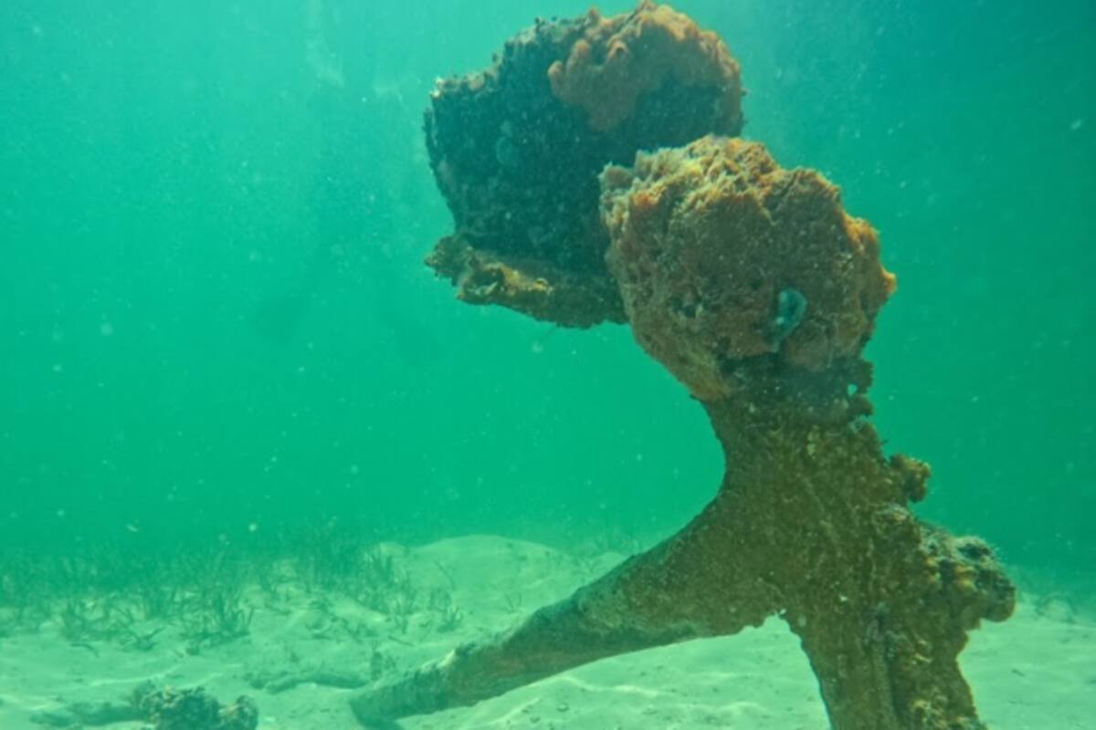 La evidencia que pertenece al St. Lucie, una embarcación que naufragó en 1906 en las aguas de Florida