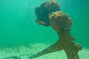 La evidencia que pertenece al St. Lucie, una embarcación que naufragó en 1906 en las aguas de Florida