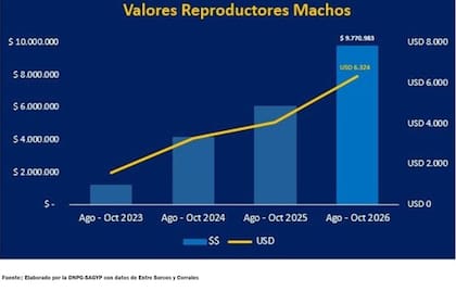 La evolución de los precios