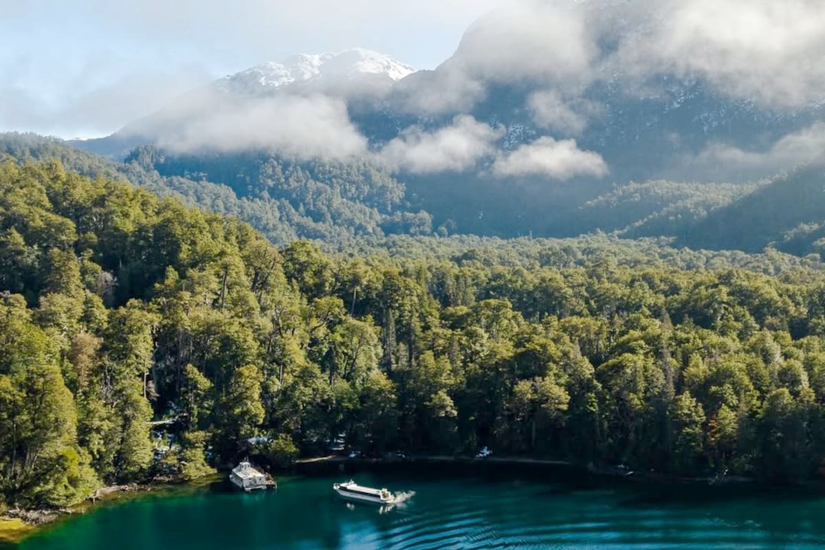 La excursión al Alerzal Milenario es muy demandada por los turistas