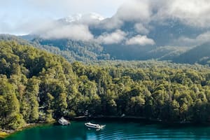 La excursión al Alerzal Milenario es muy demandada por los turistas