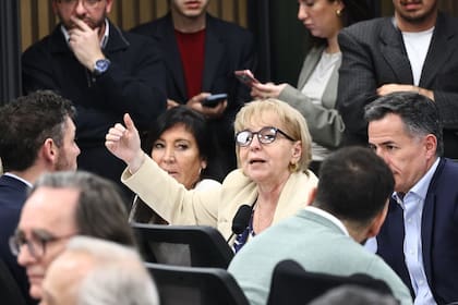 La exmacrista Silvana Giudici defendió el cronograma oficial, que posterga una definición por el crecimiento de la morosidad