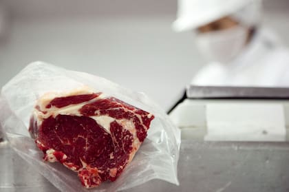 La expectativa es sumar más mercados