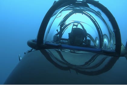 La expedición a la Antártida permitió que, por primera vez, científicos visiten el fondo del Mar de Weddell y obtengan imágenes únicas