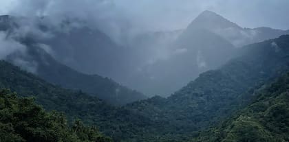 La expedición se llevó a cabo en las Montañas Cíclopes de Nueva Guinea