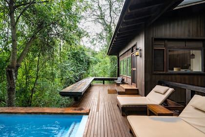 La experiencia de dormir en medio de la selva