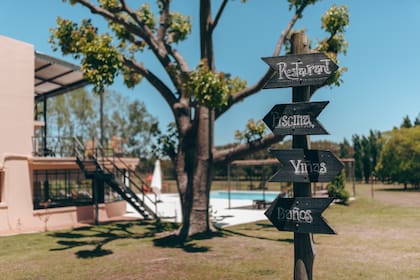 La experiencia Finca del Sacramento incluye cata de vinos, almuerzo, paseo por viñedos y olivares.