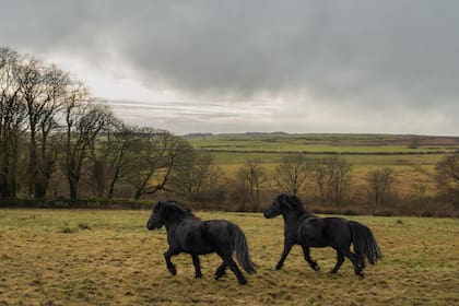 La experiencia incluye un paseo a caballo por los campos
