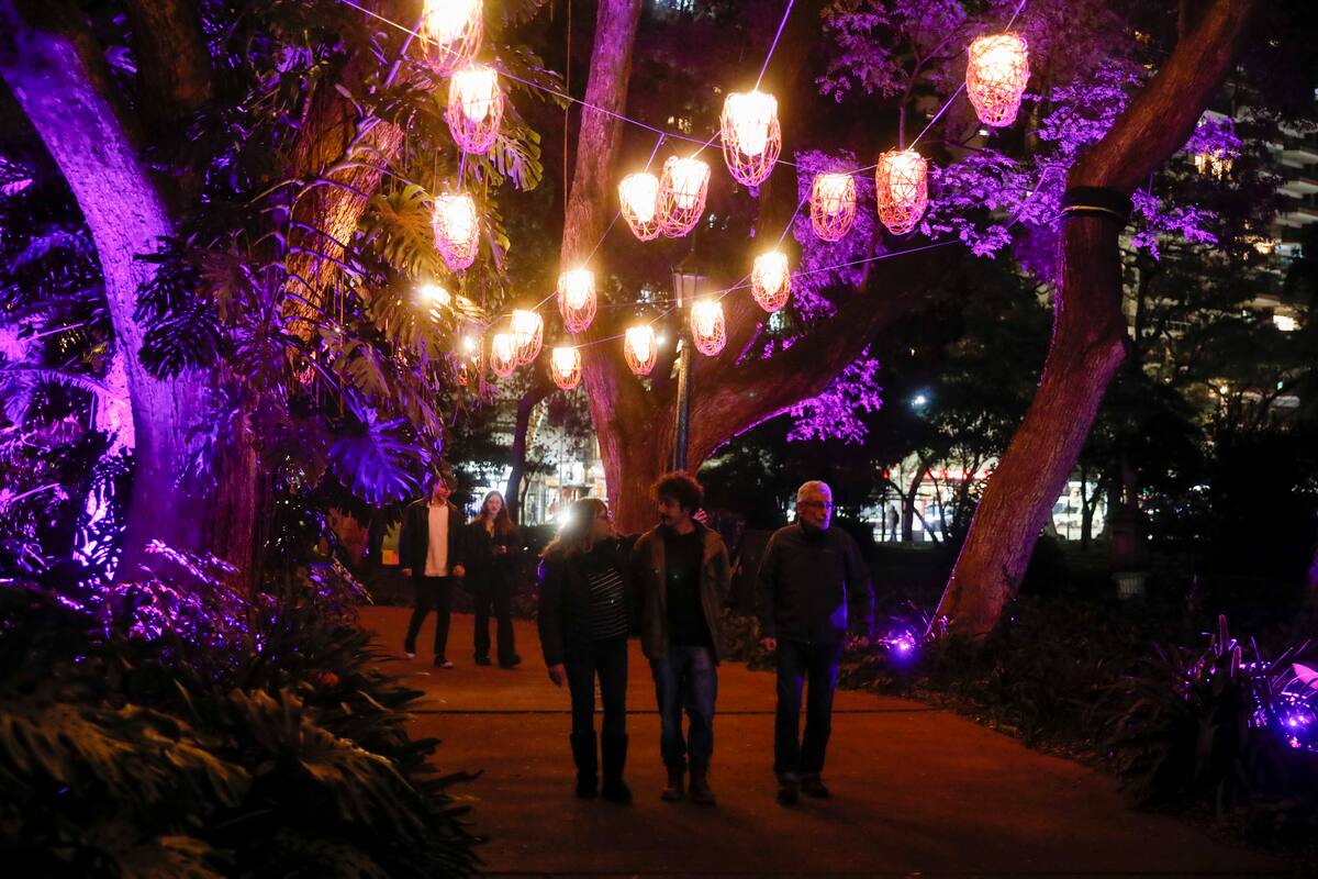 La experiencia lumínica "Secret Garden" comienza mañana en el .Jardín Botánico