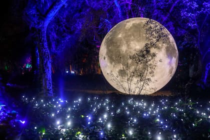 La experiencia lumínica Secret Garden, en el .Jardín Botánico, no estuvo exenta de controversias
