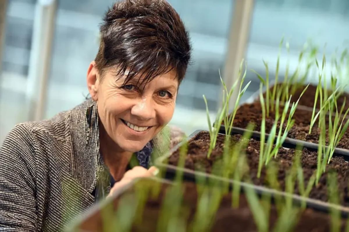 La experta en tolerancia a la desecación Jill Farrant notó por primera vez las notables capacidades de las plantas de resurrección cuando era niña