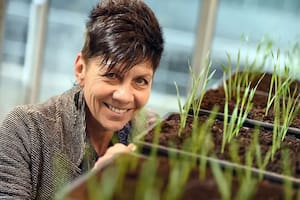 La experta en tolerancia a la desecación Jill Farrant notó por primera vez las notables capacidades de las plantas de resurrección cuando era niña