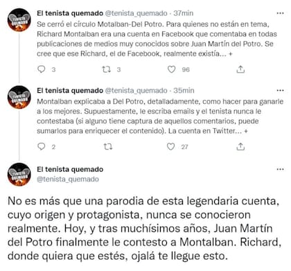 La explicación entre el ida y vuelta de Juan Martín Del Potro y Richard Montalbán