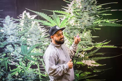 La Expo Cannabis argentina en la Rural fue un éxito. El viernes 4, el primer día del evento, convocó más de 30.000. La organización esperaba 25.000 para las tres jornadas