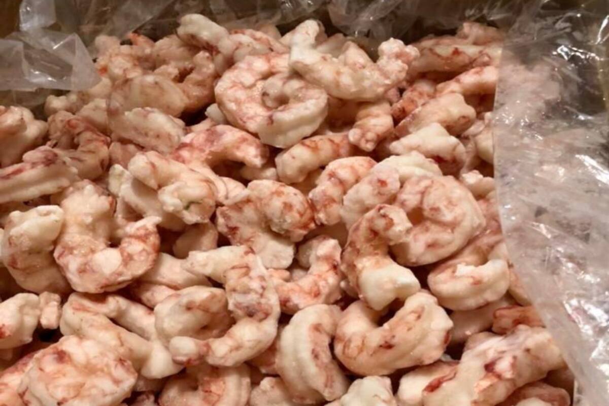 La exportación a Brasil fue certificada por el Senasa: 23.306 kilos