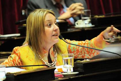 La exsenadora Liliana Negre de Alonso fue quien hizo la presentación en contra de la interrupción del embarazo