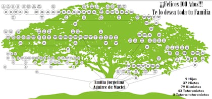 La extensa familia de Emilia, plasmada en un árbol genealógico