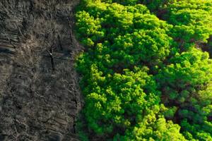 "La extinción es permanente, por lo que la única forma efectiva de reducirla es ser más cuidadosos con la protección de animales, plantas y otras especies"