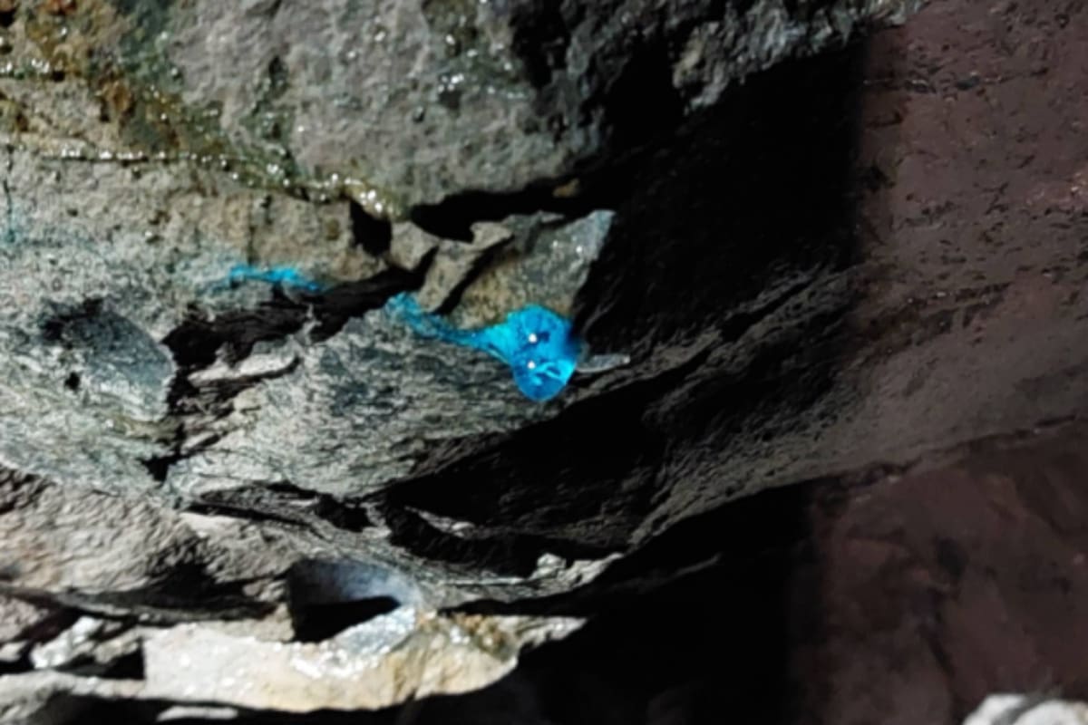 La extraña sustancia se encuentra en el tercer nivel de una mina abandonada