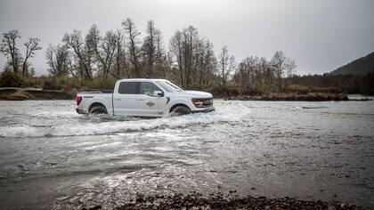 La F-150 Tremor figura en la página web de la marca a $131.189.700
