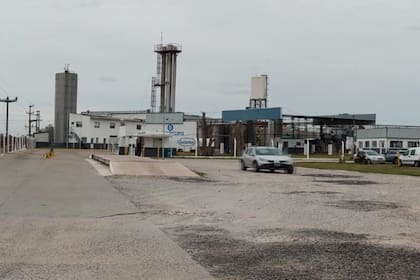 La fábrica comenzará procesando unos 100.000 litros diarios, aunque tiene capacidad para recibir hasta 250.000