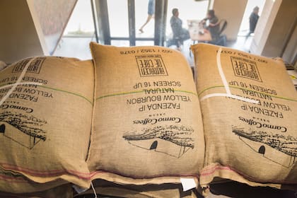 La fábrica de café funciona arriba de una de las cafeterías que montó José Sojo en Bariloche.