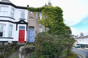 La fachada de la casa completamente tomada por una enredadera descontrolada