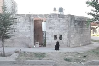 Video: así es la “casa del horror”, el lugar donde vivía el presunto asesino serial de Jujuy
