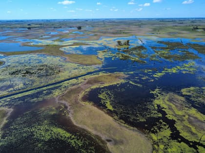 La facturación del distrito cayó de US$ 283,7 millones a US$ 169,7 millones tras las inundaciones.